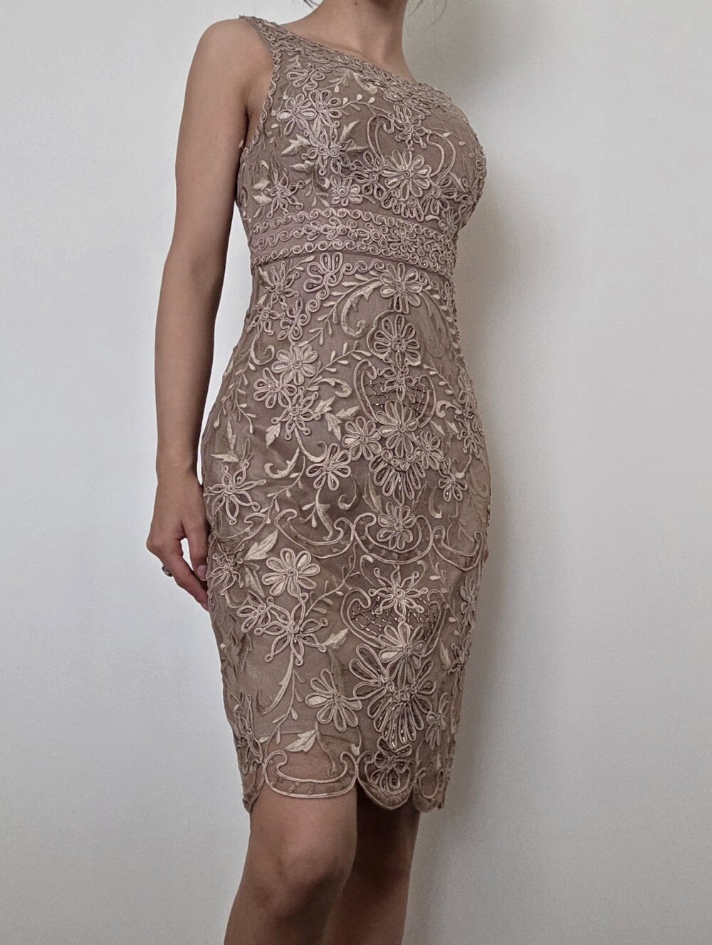 Sue Wong Taupe Lace Embroidered Midi Sheath Dress